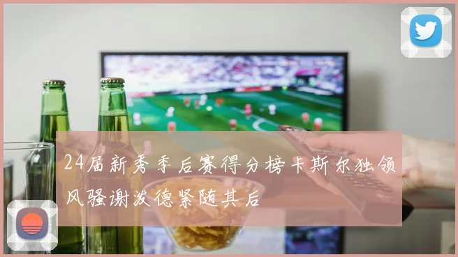 24届新秀季后赛得分榜卡斯尔独领风骚谢泼德紧随其后